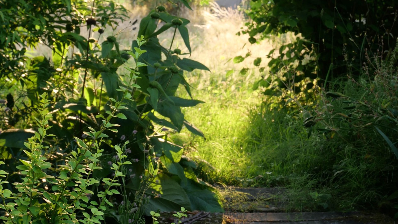 Photo of Outdoor in Brandon
