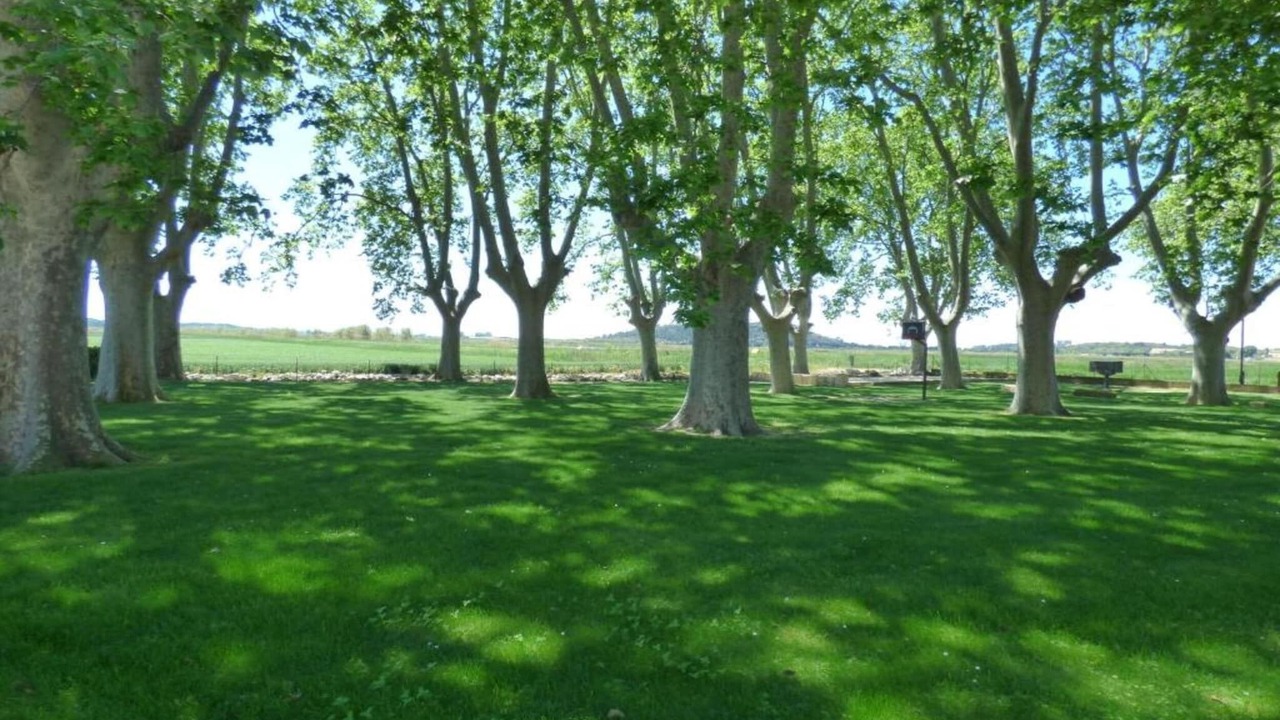 Photo of Others in Doucy-Combelouviere