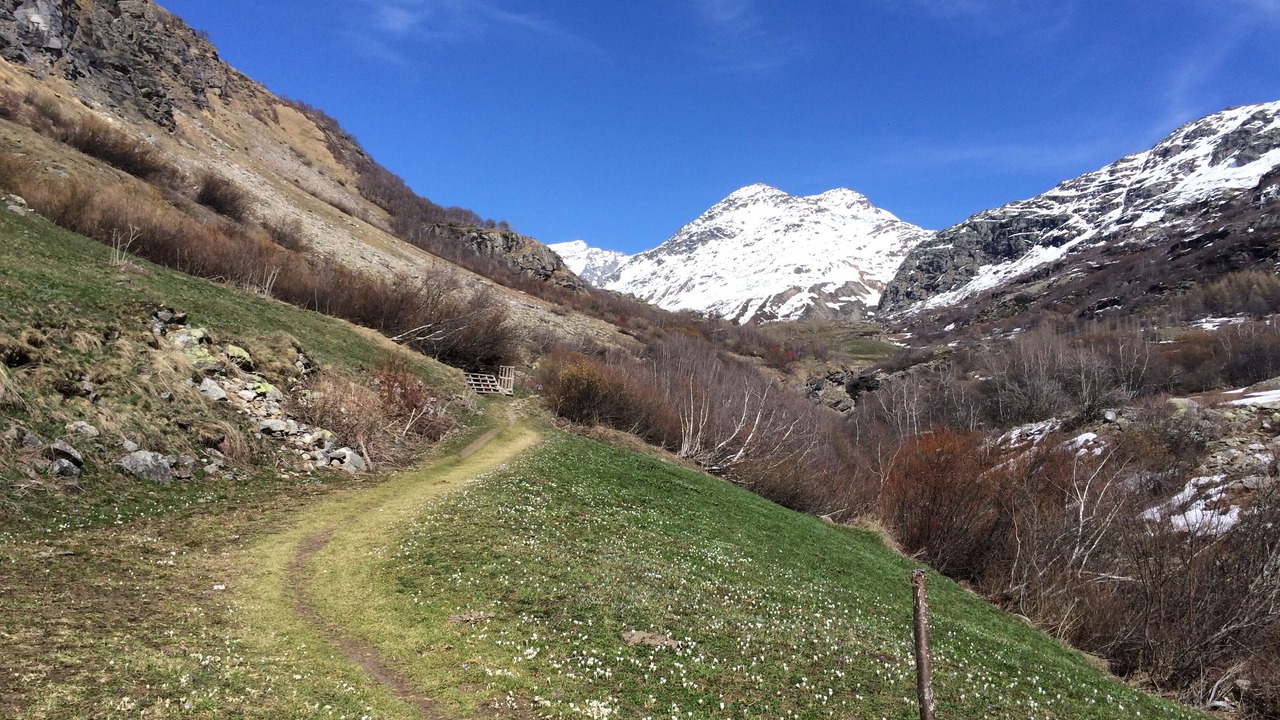 Photo of Outdoor in Bonneval-sur-Arc