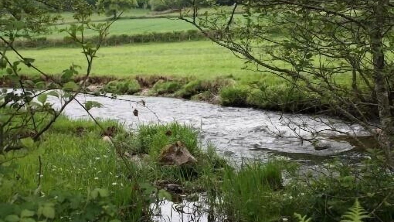 Photo of Outdoor in Cussy-en-Morvan