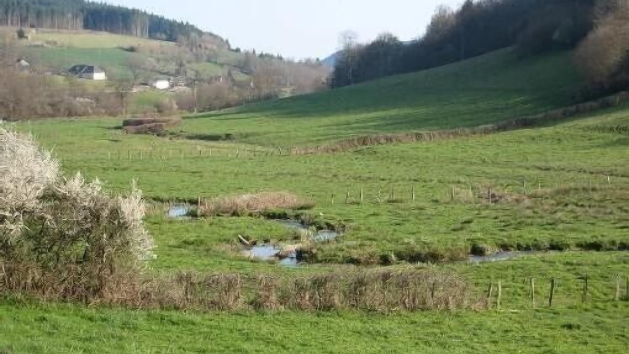 Photo of Others in Cussy-en-Morvan