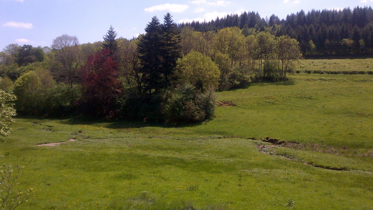 Photo of Others in Cussy-en-Morvan
