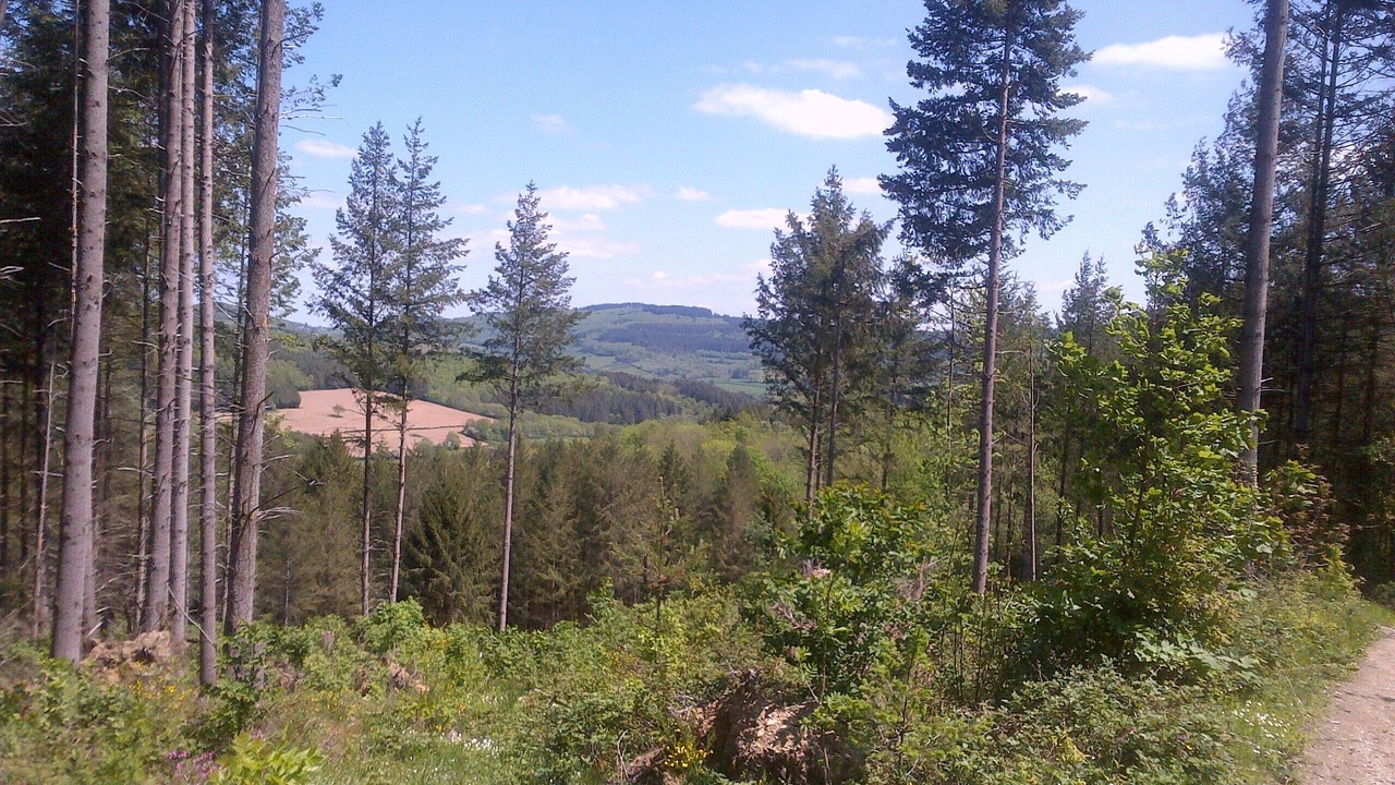 Photo of Outdoor in Cussy-en-Morvan