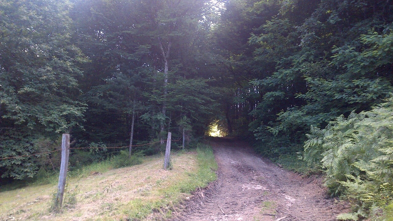 Photo of Outdoor in Cussy-en-Morvan