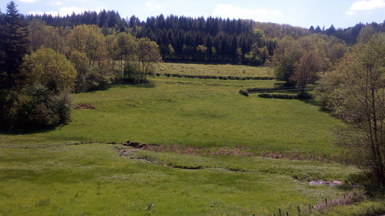 Photo of Others in Cussy-en-Morvan