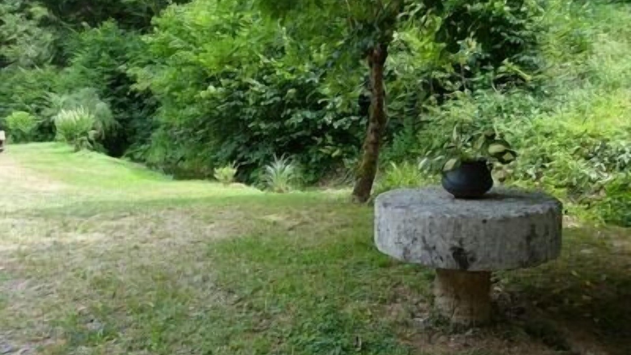 Photo of Outdoor in Sainte-Eulalie-d'Olt