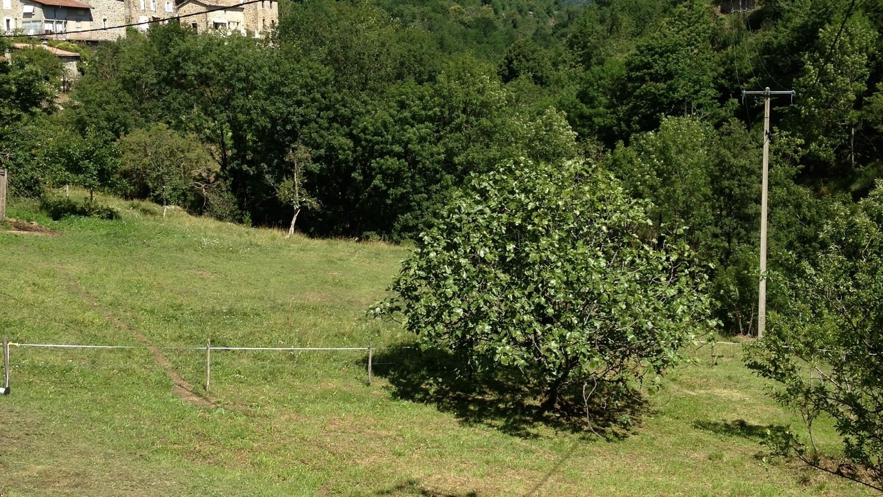 Photo of Outdoor in Juvinas