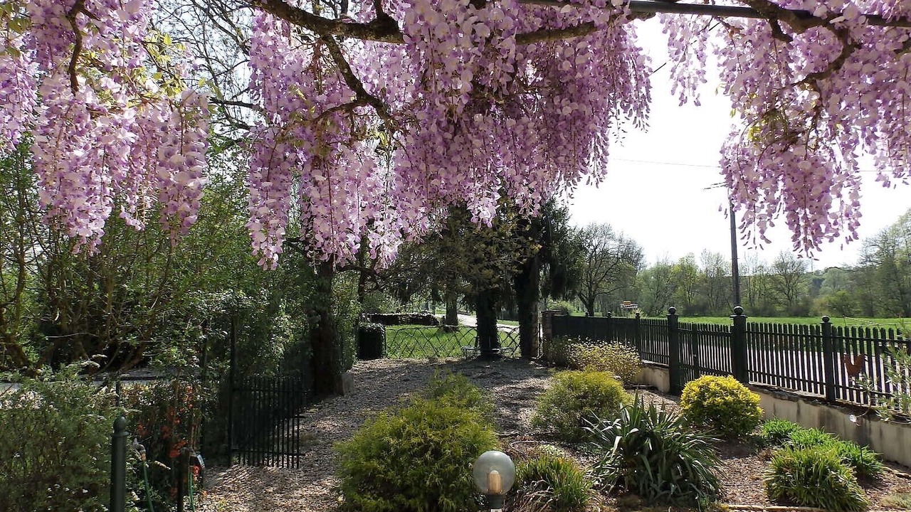 Photo of Outdoor in Membrey