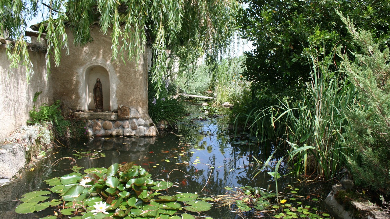 Photo of Outdoor in La Chapelle-de-Guinchay