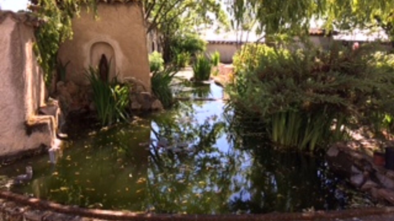 Photo of Outdoor in La Chapelle-de-Guinchay
