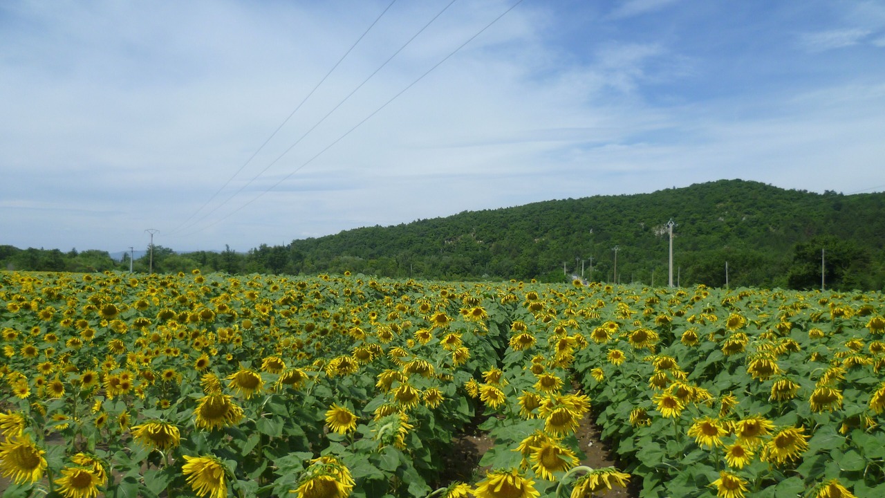 Photo of Outdoor in Pont-de-Barret