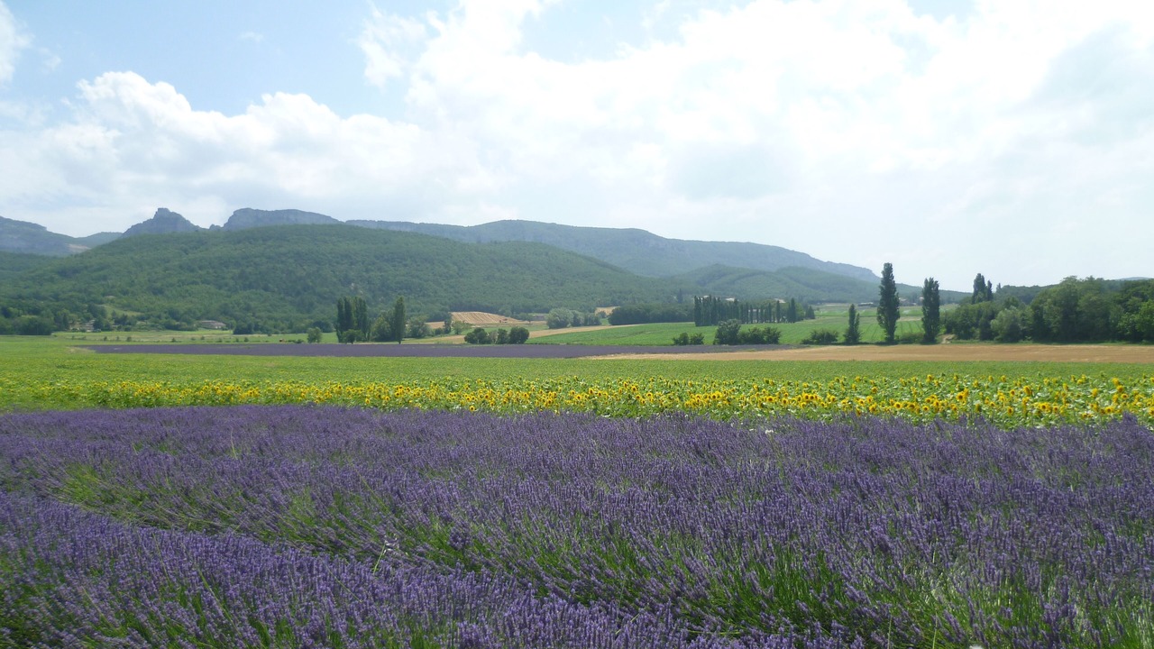 Photo of Outdoor in Rochebaudin
