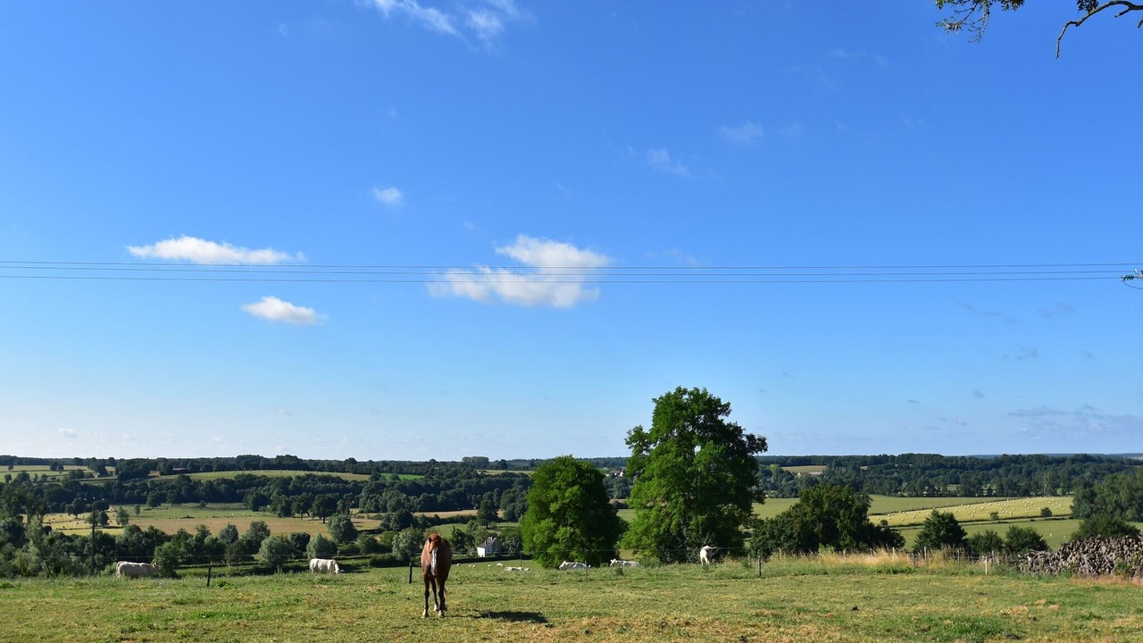 Photo of Others in Isenay
