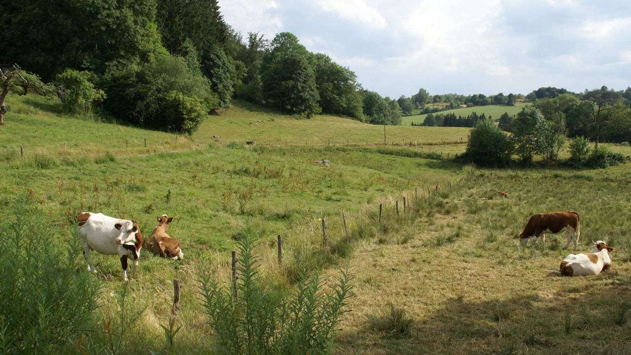 Photo of Outdoor in Esmoulieres