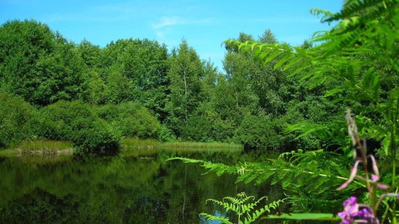 Photo of Others in Esmoulieres