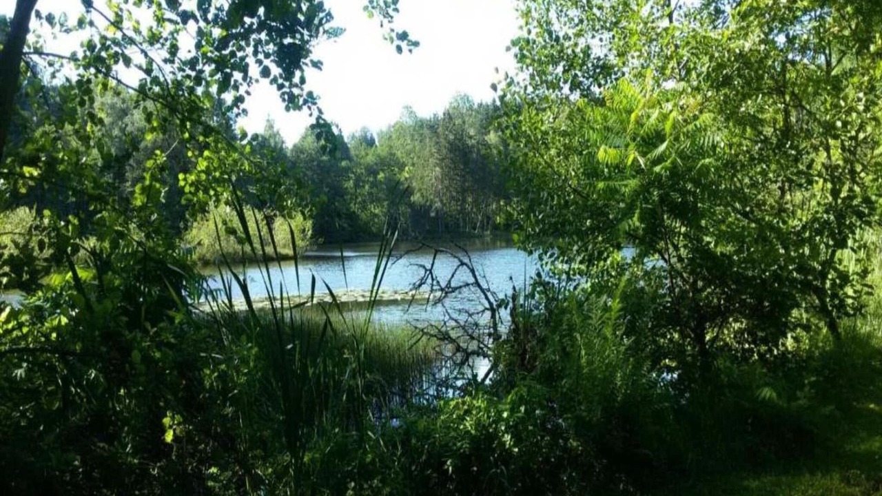 Photo of Others in Esmoulieres