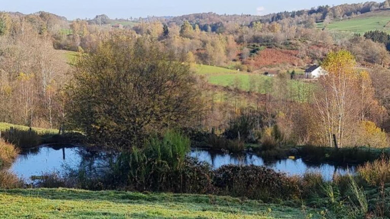 Photo of Others in Esmoulieres
