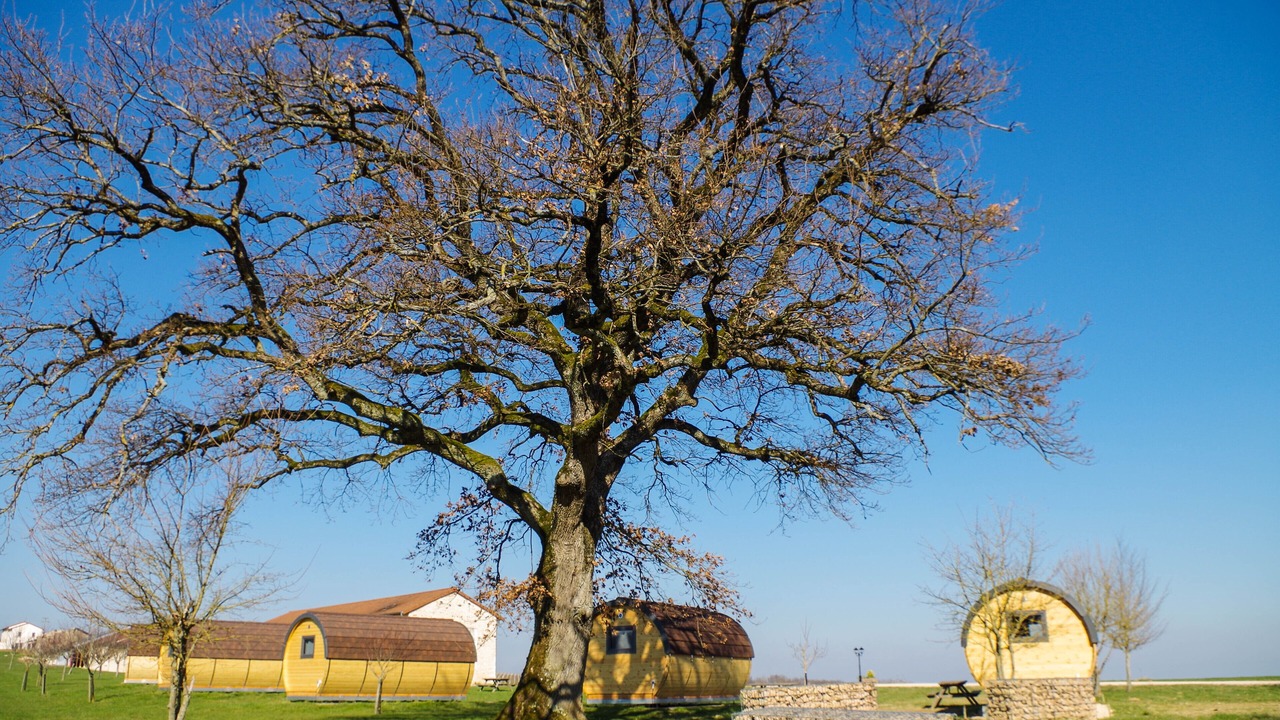 Photo of Outdoor in Lugny