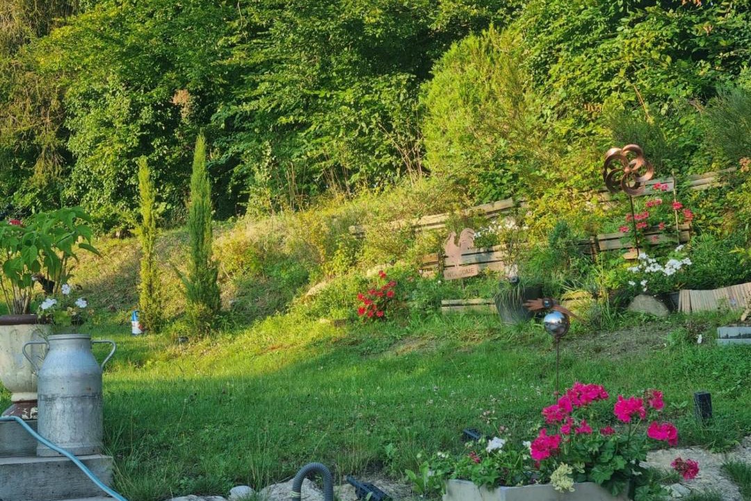 Photo of Others in Begnecourt