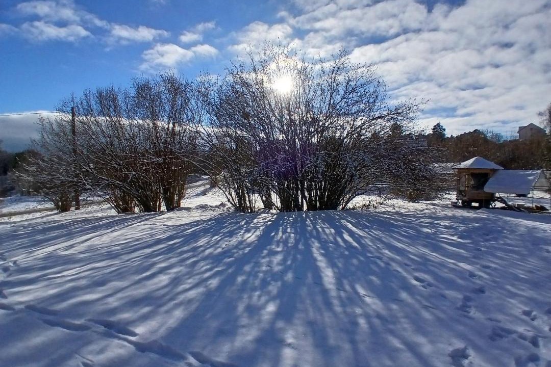 Photo of Others in Hadol