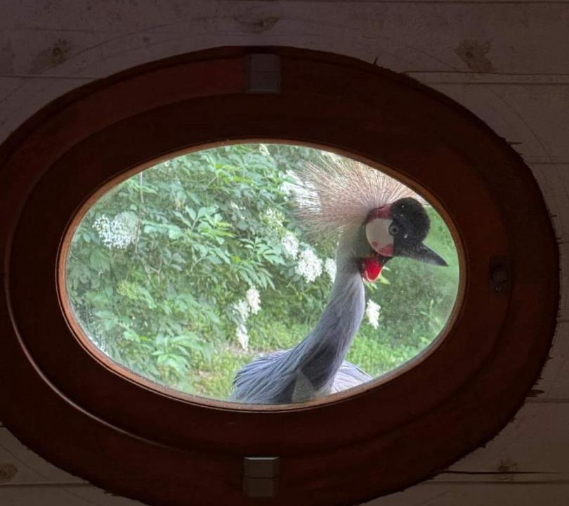 Photo of Others in La Grande-Verriere