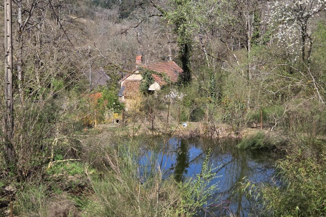 Photo of Others in La Grande-Verriere