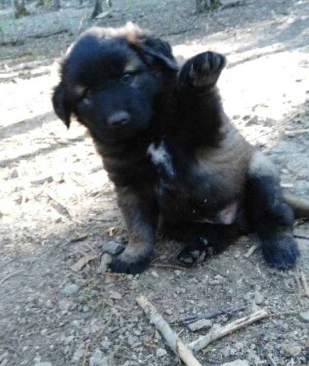 Photo of Others in La Grande-Verriere