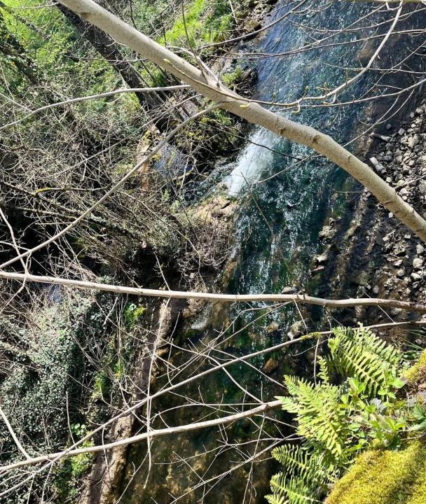 Photo of Others in Bourbonne-les-Bains