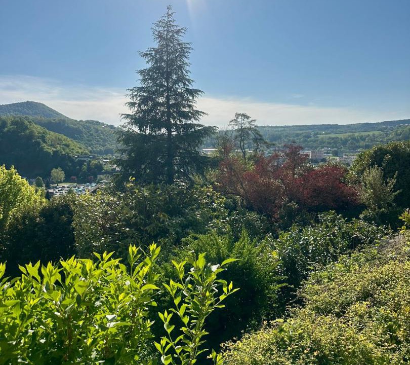 Photo of Others in Baume-les-Dames