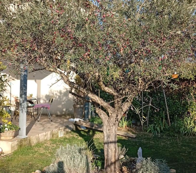 Photo of Outdoor in Saint-Didier