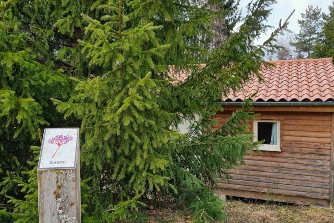 Photo of Others in Usson-en-Forez