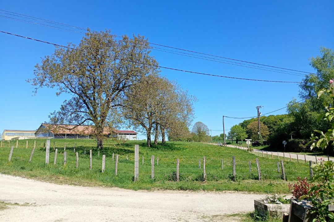 Photo of Others in Barretaine