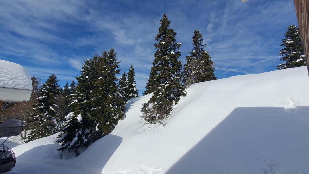 Photo of Others in Chamrousse