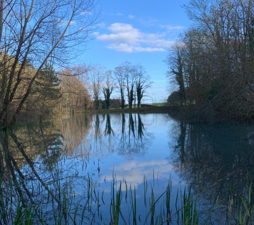 Photo of Others in Soncourt-sur-Marne