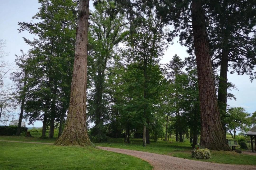 Photo of Others in Ygrande