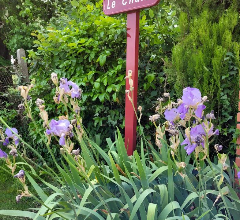 Photo of Outdoor in Ygrande