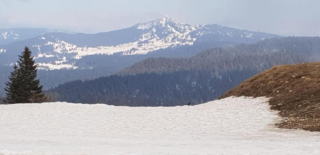Photo of Others in Dortan