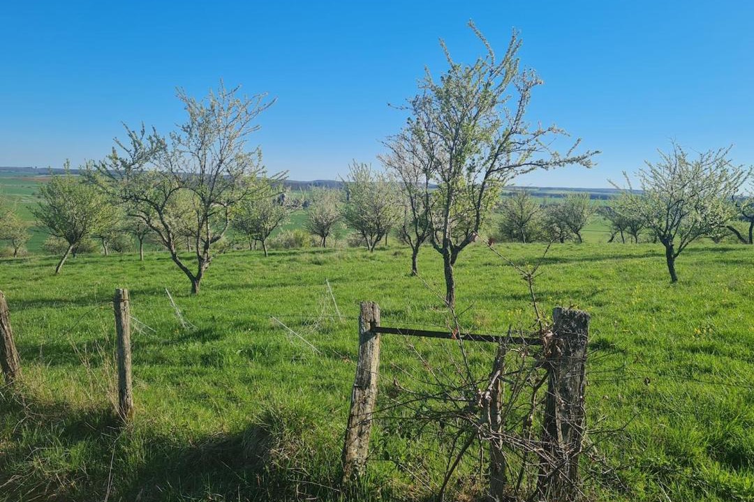 Photo of Others in Oelleville