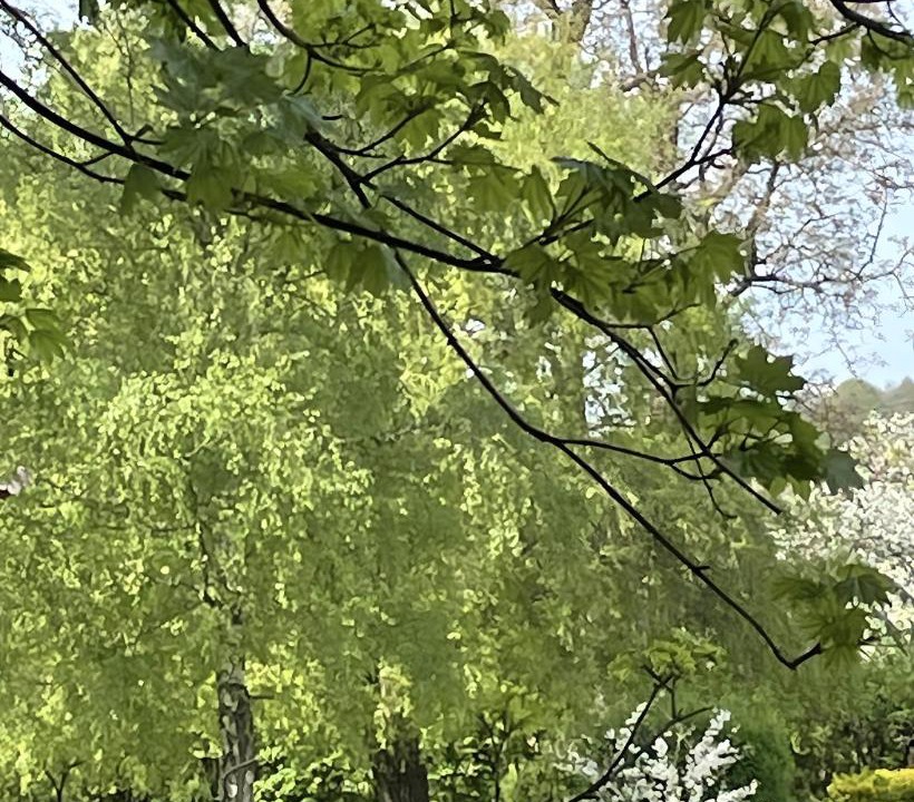 Photo of Outdoor in Chaulgnes