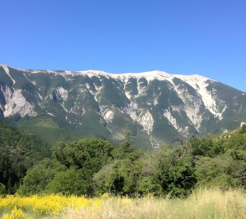 Photo of Others in Brantes