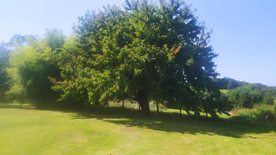 Photo of Outdoor in Dommartin-les-Cuiseaux