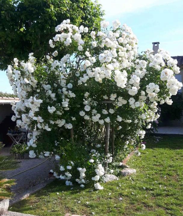 Photo of Outdoor in Mazan
