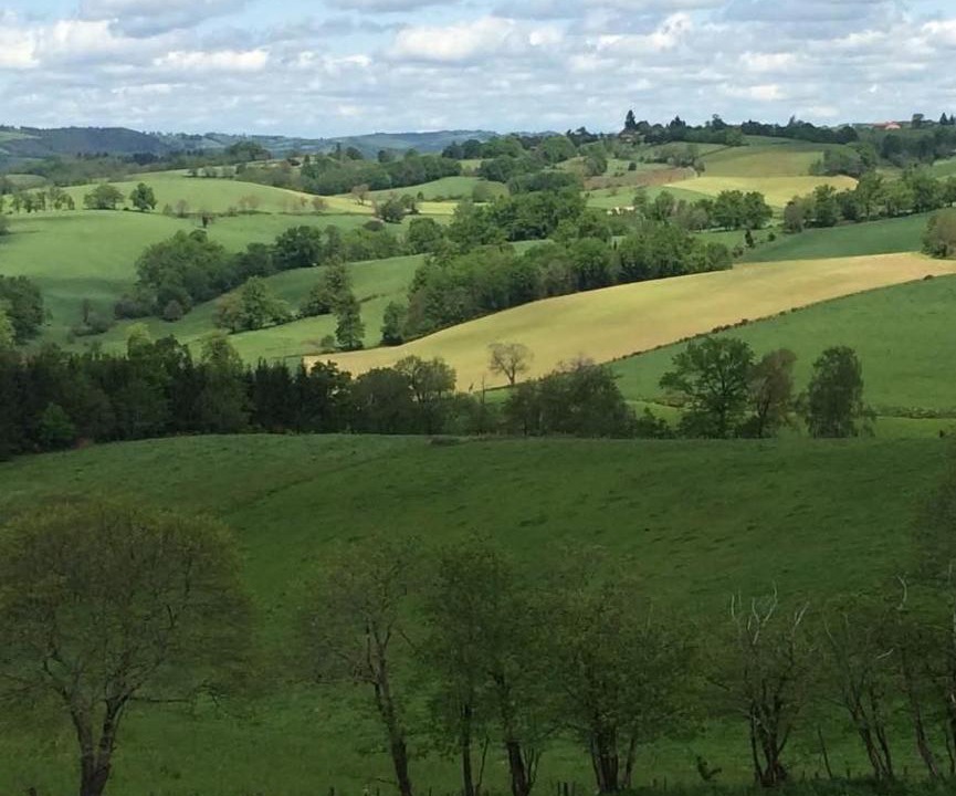 Photo of Others in Chissey-en-Morvan