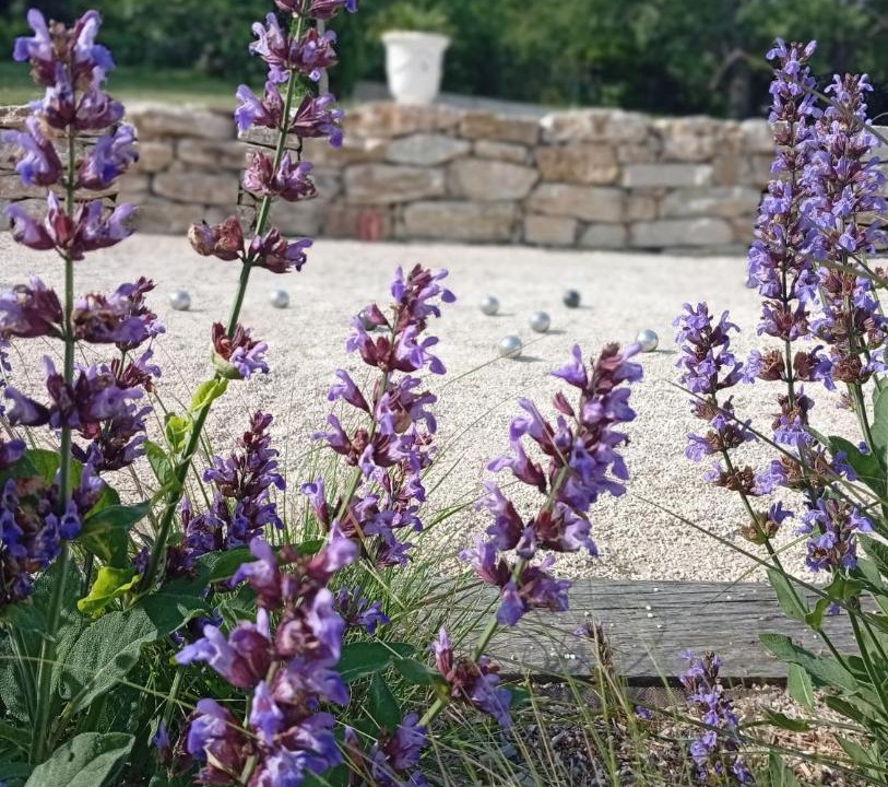 Photo of Outdoor in Saint-Paul-Trois-Chateaux