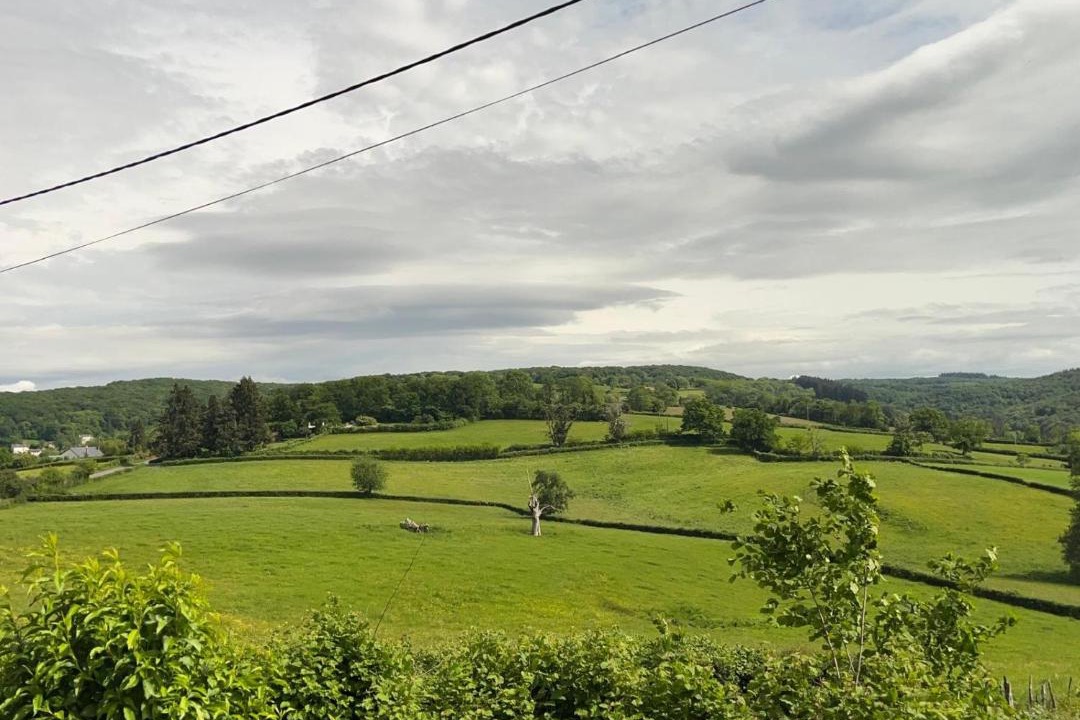 Photo of Others in Montigny-en-Morvan