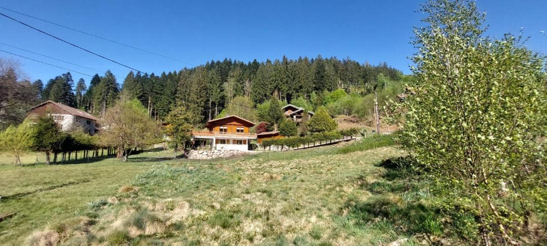 Photo of Others in Gerardmer