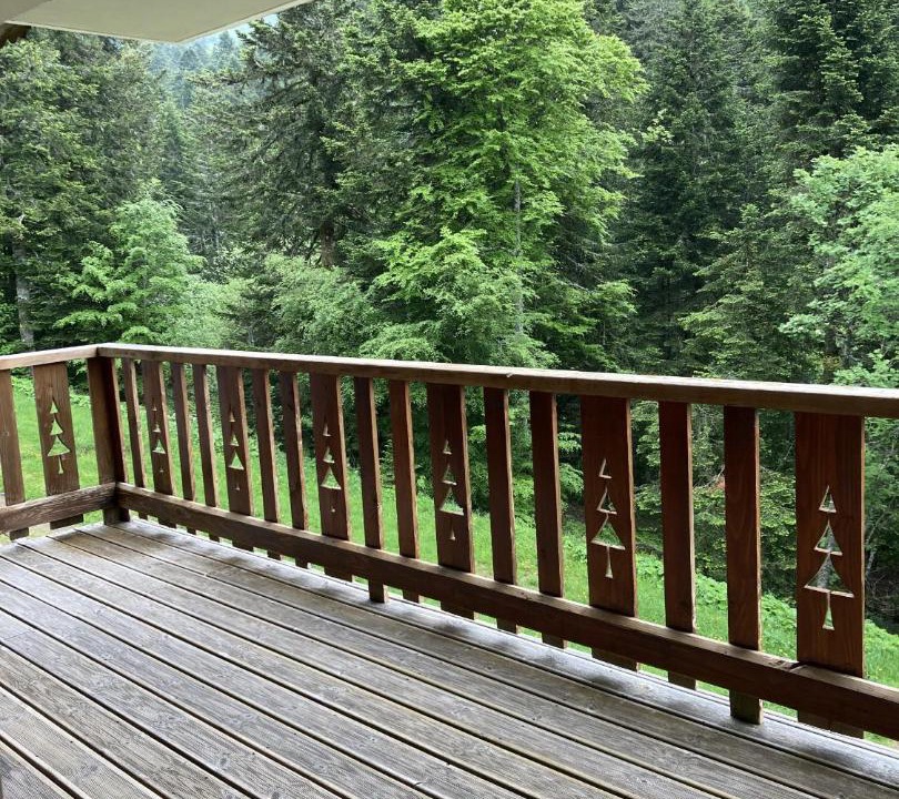 Photo of Patio Balcony in Laveissiere