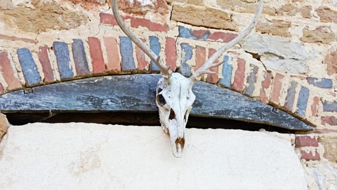 Photo of Others in Dommartin-les-Cuiseaux
