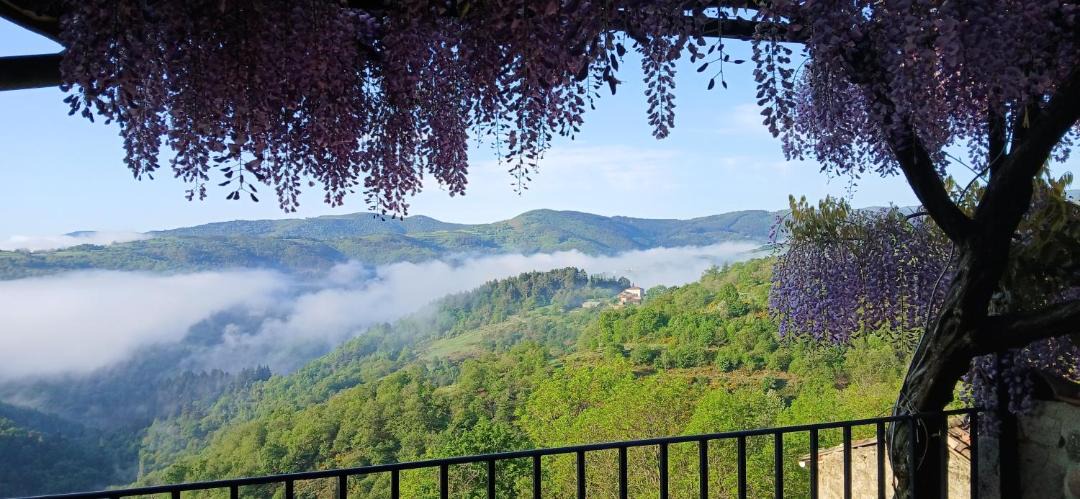 Photo of Others in Gluiras