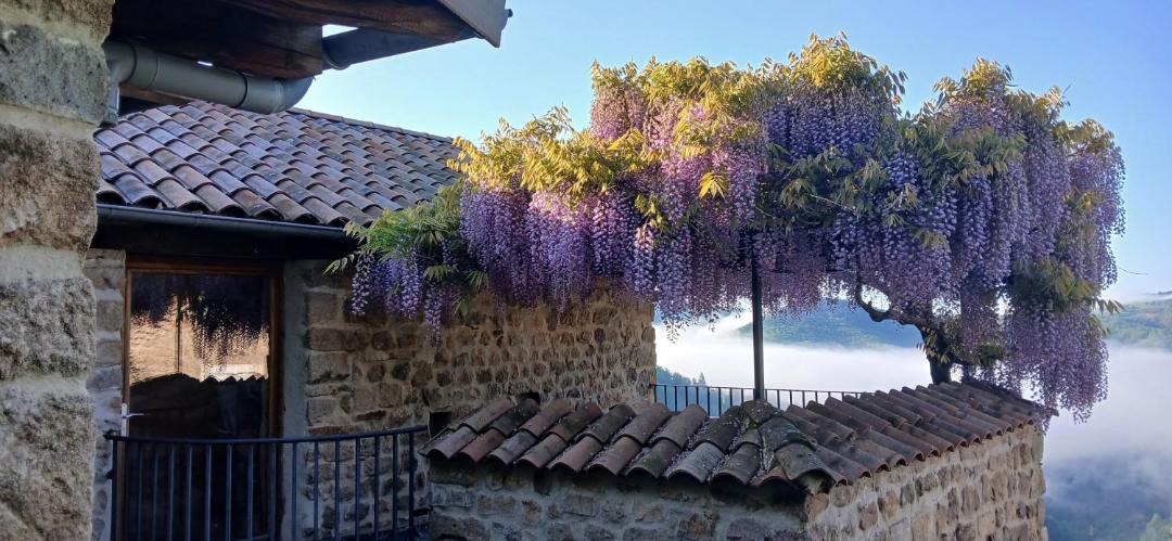 Photo of Others in Gluiras